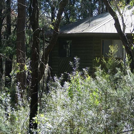Twin Falls Bush Cottages Fitzroy Falls Exterior foto