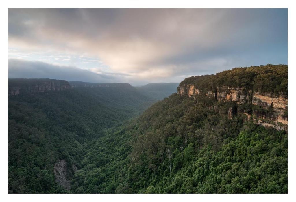 Twin Falls Bush Cottages Fitzroy Falls Exterior foto