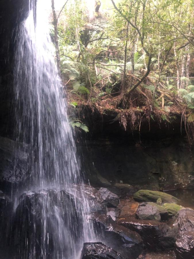 Twin Falls Bush Cottages Fitzroy Falls Exterior foto