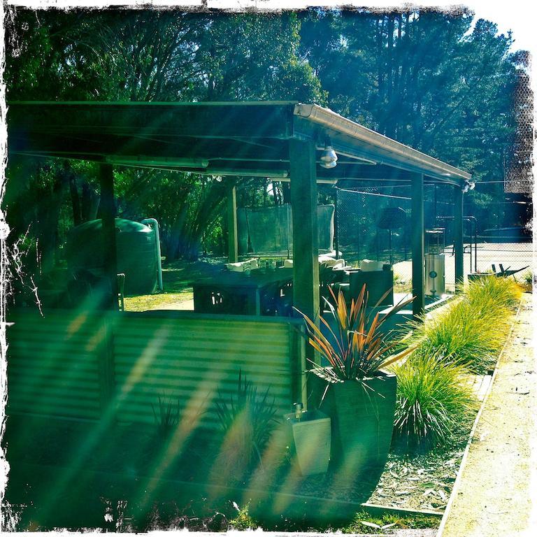 Twin Falls Bush Cottages Fitzroy Falls Cameră foto