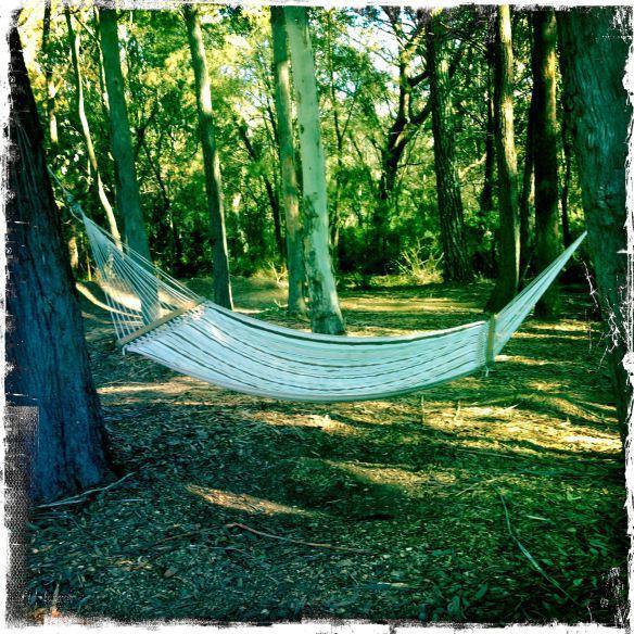 Twin Falls Bush Cottages Fitzroy Falls Cameră foto
