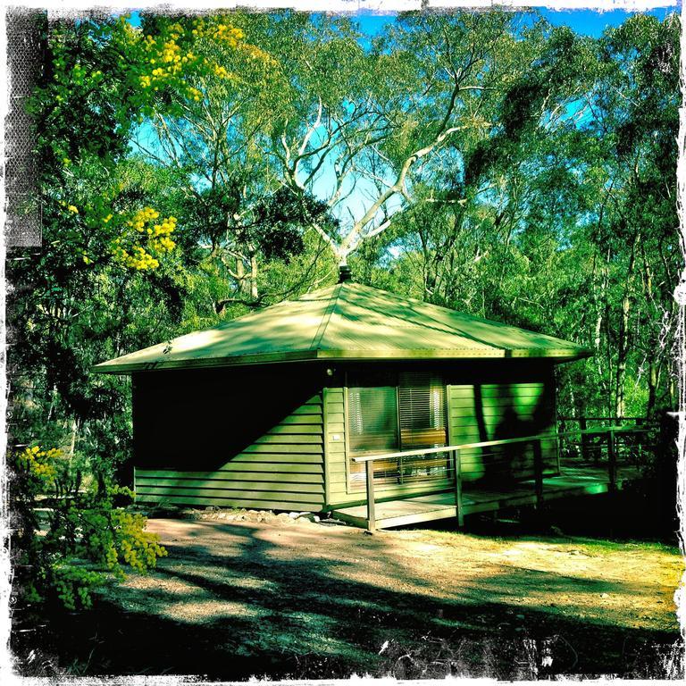 Twin Falls Bush Cottages Fitzroy Falls Cameră foto