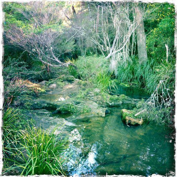 Twin Falls Bush Cottages Fitzroy Falls Cameră foto