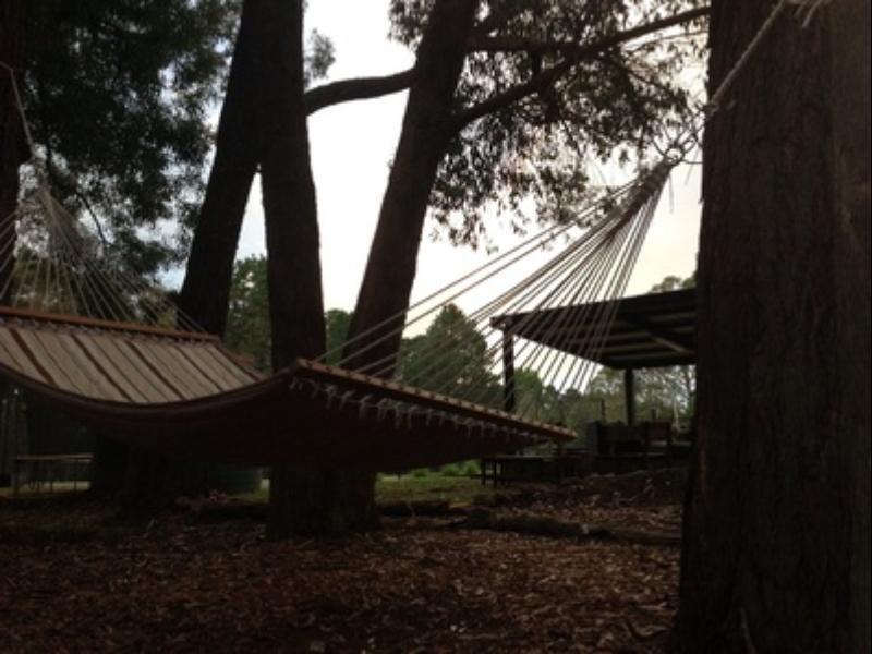 Twin Falls Bush Cottages Fitzroy Falls Exterior foto